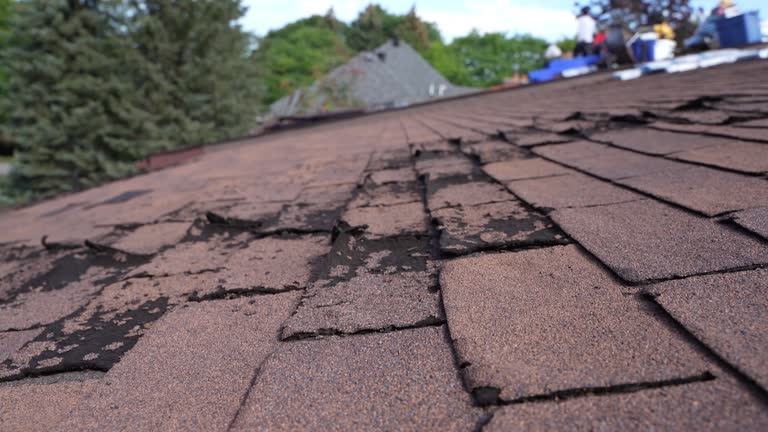 Best Tile Roofing Installation  in Wilkes Barre, PA